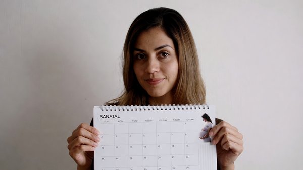 Calendrier de grossesse : suivez votre bébé semaine par semaine en 2026